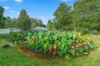 132 Currans Road, Cooranbong NSW 2265-Image