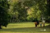 132 Gold Creek Road, Brookfield, Qld 4069-Image