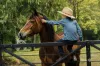 132 Gold Creek Road, Brookfield, Qld 4069-Image