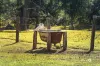 132 Gold Creek Road, Brookfield, Qld 4069-Image