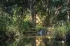 132 Gold Creek Road, Brookfield, Qld 4069-Image