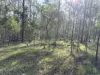 132 Scout Road, Kurwongbah, Qld 4503-Image