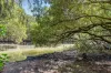 132 Siandra Drive, Kareela, NSW 2232-Image