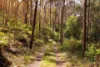 1321 Wilson Drive, Hill Top, NSW 2575-Image