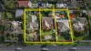 1325/1327/1329 Burke Road, Kew, Vic 3101