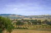 1329 Table Top Road, Table Top, NSW 2640-Image