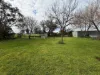 133 Alchins Road, Forbes NSW 2871-Image