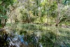 133 Cedar Park Road, Koah, Qld 4881-Image