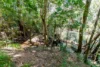 133 Cedar Park Road, Koah, Qld 4881-Image