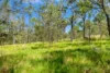 133 Cedar Park Road, Koah, Qld 4881-Image