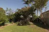 133 Duntroon Street, Hurlstone Park, NSW 2193-Image