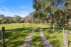 133 Grasslands Road, Boneo VIC 3939-Image