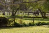 133 Grasslands Road, Boneo VIC 3939-Image