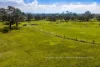 133 Grasslands Road, Boneo VIC 3939-Image