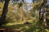 133 Grose Road, Faulconbridge, NSW 2776-Image