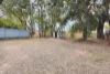 133 Pine Mountain Road, Brassall, Qld 4305-Image