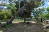 133 Pistol Club Road, Naracoorte, SA 5271-Image
