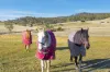 133 Springhill Bottom Road, Colebrook, Tas 7027-Image