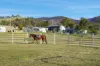 133 Springhill Bottom Road, Colebrook, Tas 7027-Image