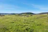 133 Springhill Bottom Road, Colebrook, Tas 7027-Image