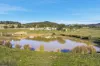 133 Springhill Bottom Road, Colebrook, Tas 7027-Image