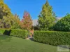 133 Upper Street, East Tamworth, NSW 2340-Image