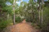 133 Woodlands Road, Wilyabrup, WA 6280-Image