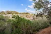 133 Woodlands Road, Wilyabrup, WA 6280-Image