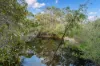 133 Woodlands Road, Wilyabrup, WA 6280-Image