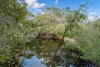 133 Woodlands Road, Wilyabrup, WA 6280-Image
