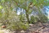 134 Kurrajong Drive, East Side, NT 0870-Image