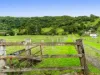 134 Nimbin Road, Booerie Creek, NSW 2480-Image