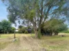 1343 Summerland Way, Kyogle, NSW 2474-Image