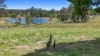 1344 Greenridge Pinbarren Road, Pinbarren, Qld 4568-Image