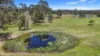 1344 Greenridge Pinbarren Road, Pinbarren, Qld 4568-Image