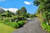 135 Maleny-Stanley River Road, Maleny, Qld 4552-Image
