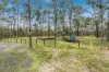 135 Scout Road, Kurwongbah, Qld 4503-Image