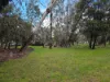 135 Spriggs Dr, Croydon, Vic 3136-Image
