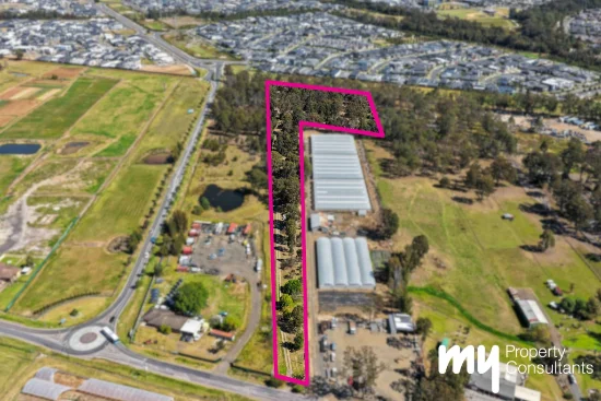 135 Springfield Road, Catherine Field, NSW 2557