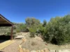 135 Woods Terrace, Braitling, NT 0870-Image