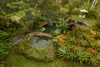 1354 Eumundi Noosa Road, Eumundi, Qld 4562-Image
