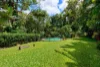 1354 Pine Creek - Yarrabah Road, East Trinity, Qld 4871-Image
