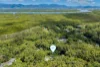 1354 Pine Creek - Yarrabah Road, East Trinity, Qld 4871-Image