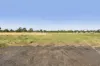 1355 Somerton Road, Bulla, Vic 3428-Image