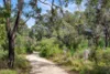 13571 Bussell Highway, Augusta WA 6290-Image