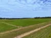 136 Barrage Road East, Mungar, Qld 4650-Image