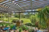 136 Bimbimbie Road, Bimbimbie, NSW 2536-Image