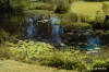 136 Bimbimbie Road, Bimbimbie, NSW 2536-Image