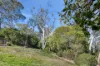 136 Dryandra Street, O'Connor, ACT 2602-Image