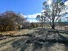 136 High Street, Oatlands, Tas 7120-Image